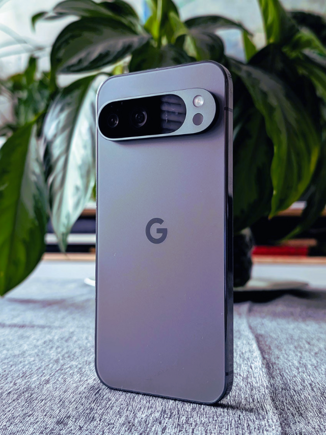 Google Pixel 9 Pro standing upright on a table with a plant in the background